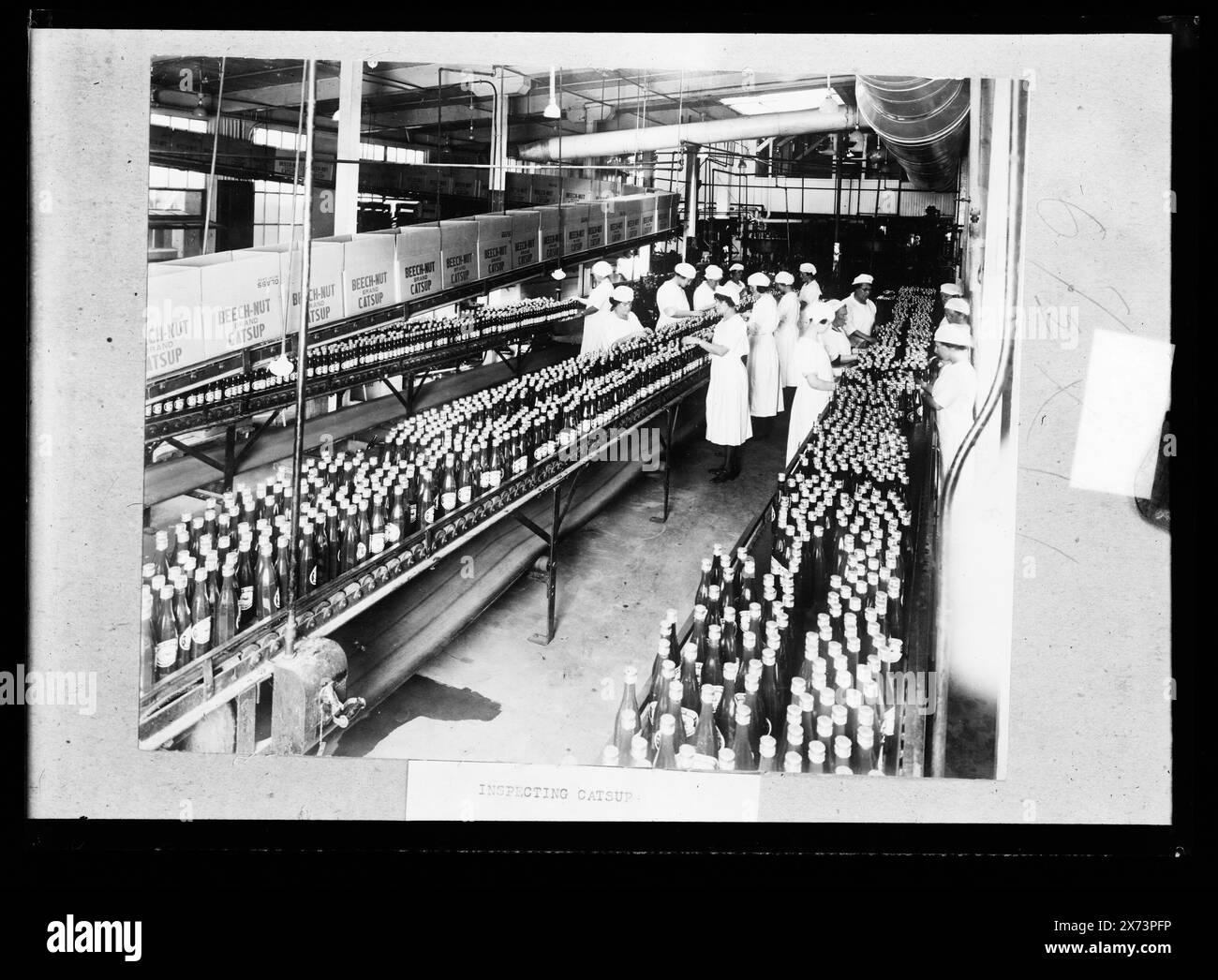 Inspecting catsup, Probably related to negatives D420-2718, D420-2782 to D420-2790., Boxes labeled 'Beech-Nut Brand Catsup.', Detroit Publishing Co. no. K 2782., Gift; State Historical Society of Colorado; 1949,  Condiments. , Food industry. , Assembly-line methods. Stock Photo