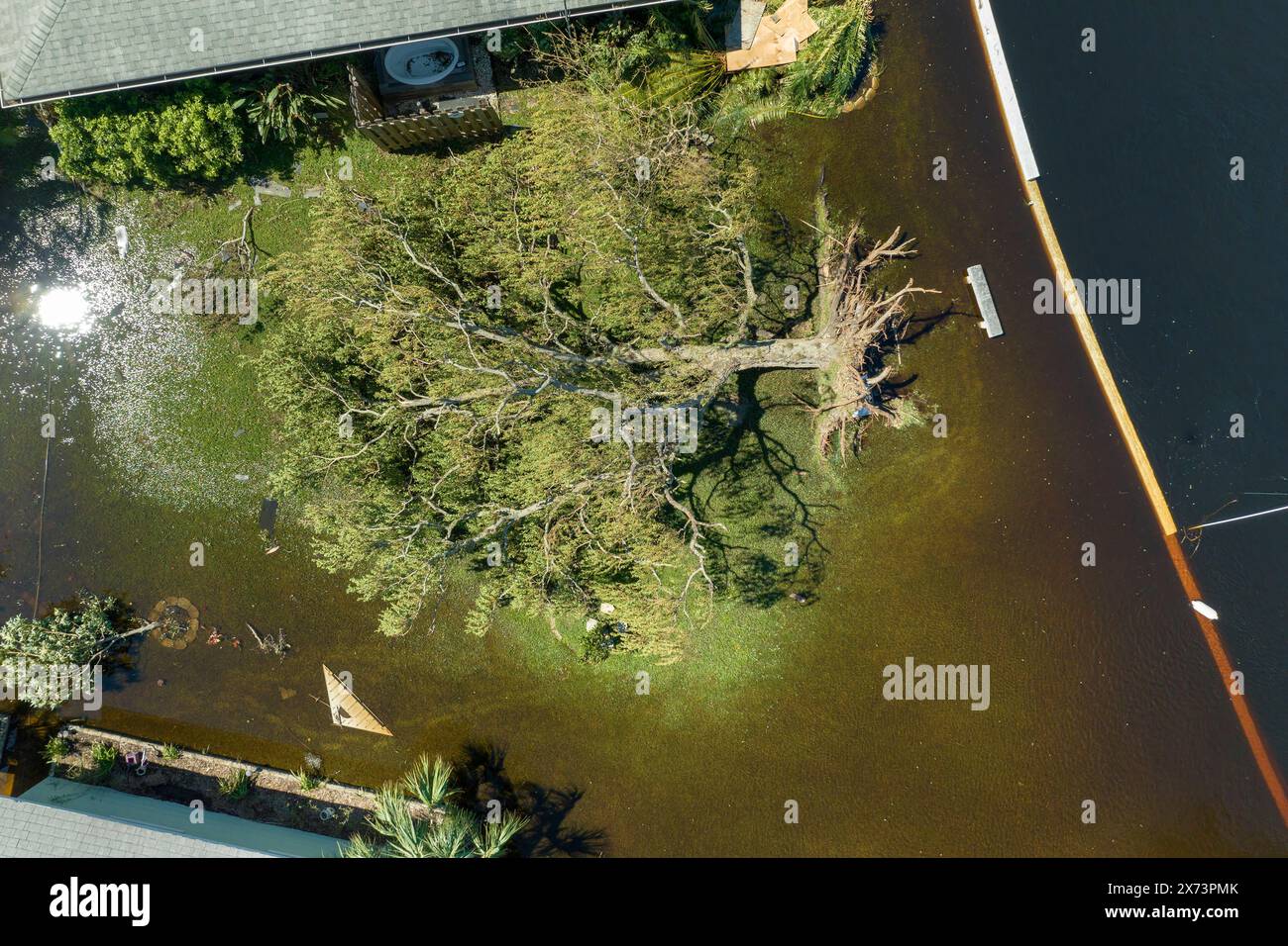 Hurricane Ian flooded house and fallen tree in Florida residential area ...