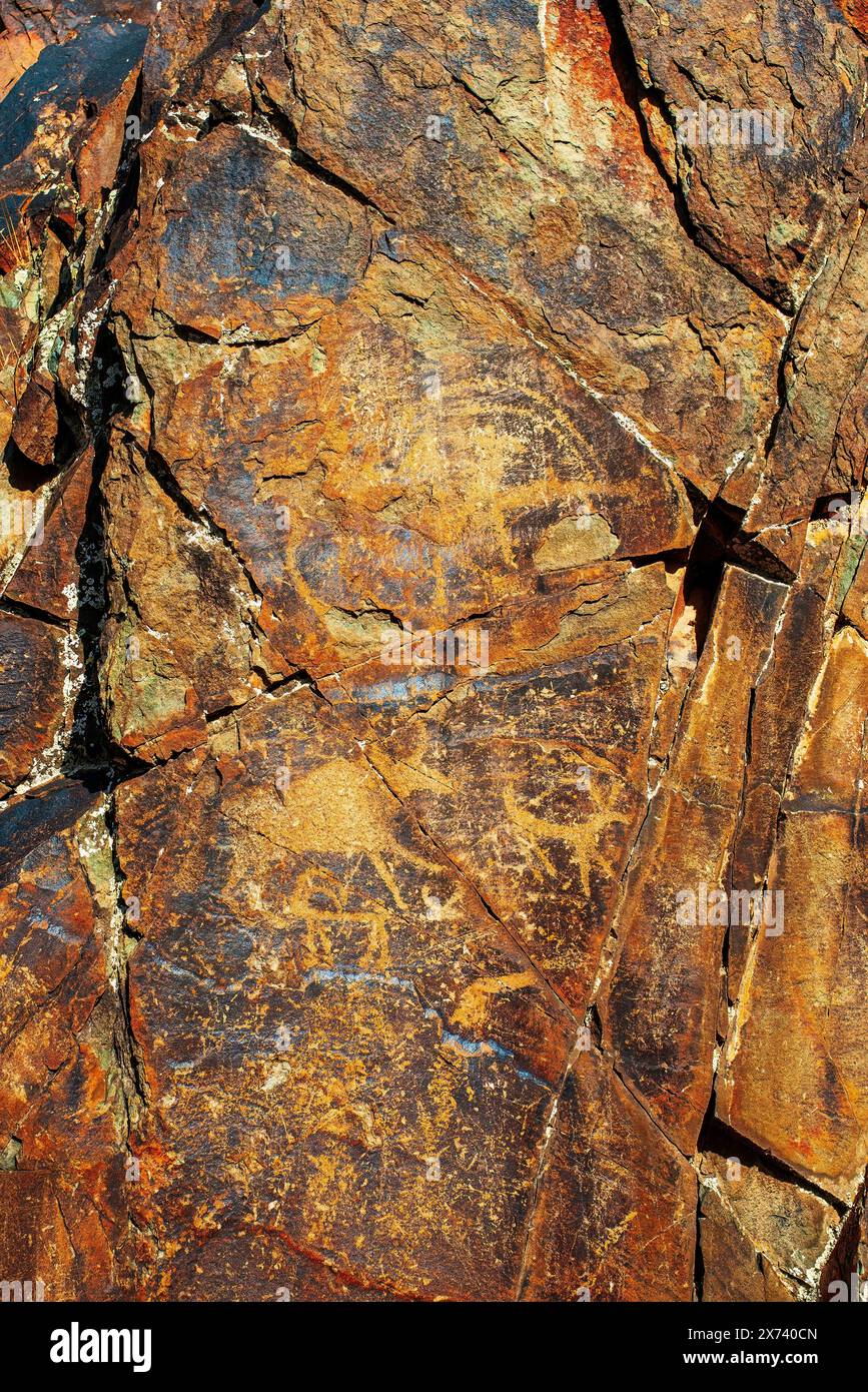 Petroglyphs on the rocks in the Karasay gorge, Taraz, Jambyl Region ...