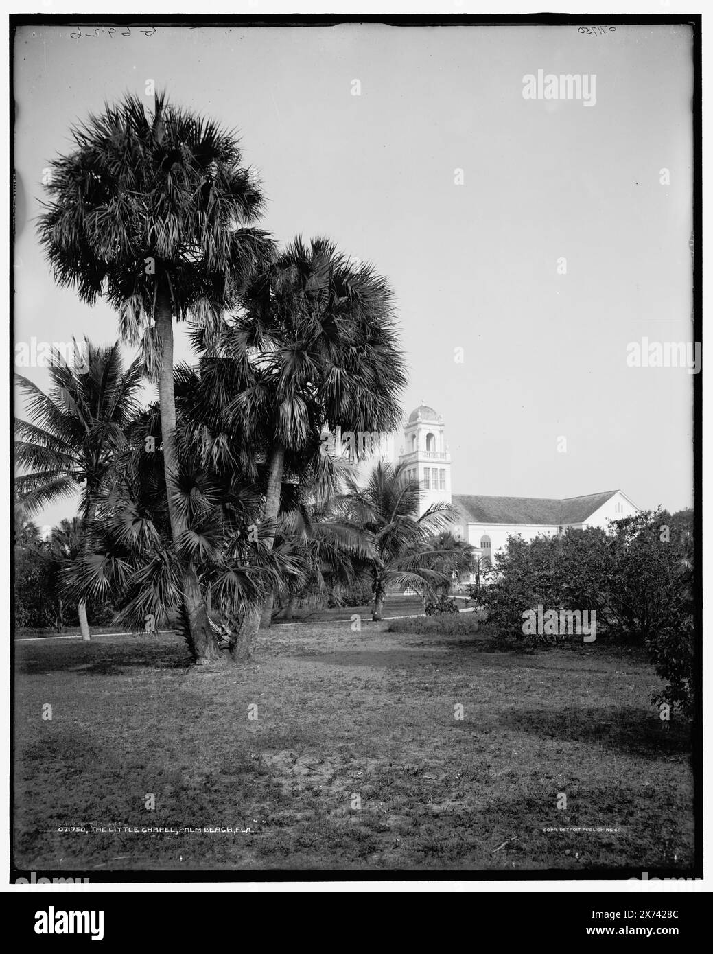 The Little chapel Bethesda by the Sea, Palm Beach, Fla., 'G 6926' on negative., Detroit Publishing Co. no. 071750., Gift; State Historical Society of Colorado; 1949,  Churches. , Palms. , United States, Florida, Palm Beach. Stock Photo