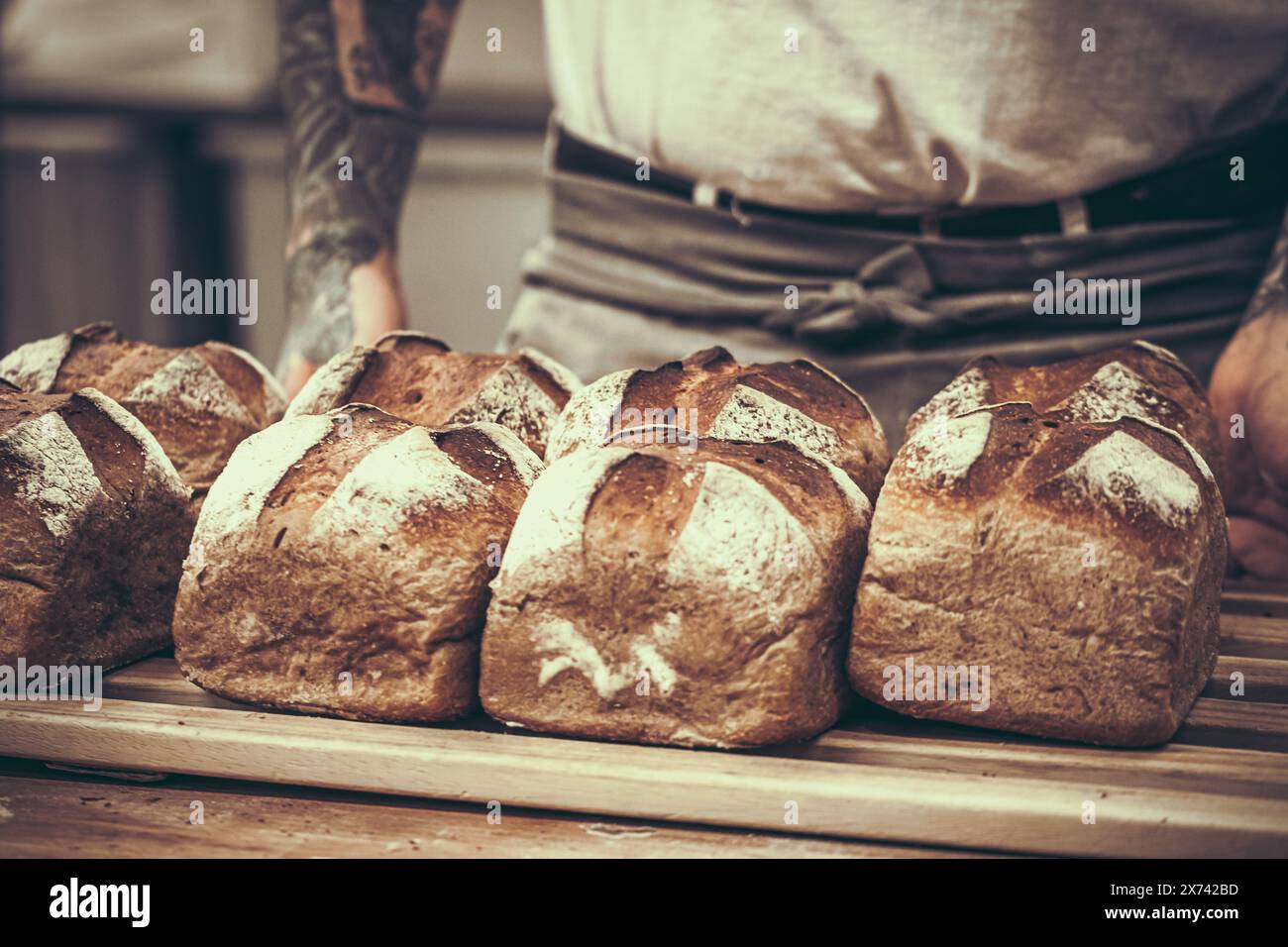 Professional baker holding wooden tray with freshly baked hot bread loaves, vintage style with grain Stock Photo