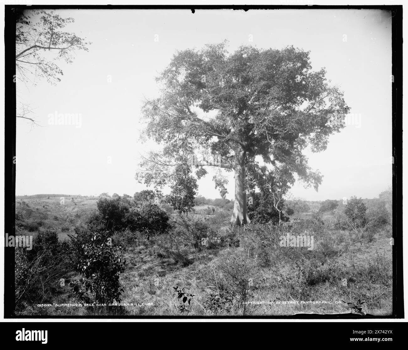 1898 1949 Cut Out Stock Images & Pictures - Alamy
