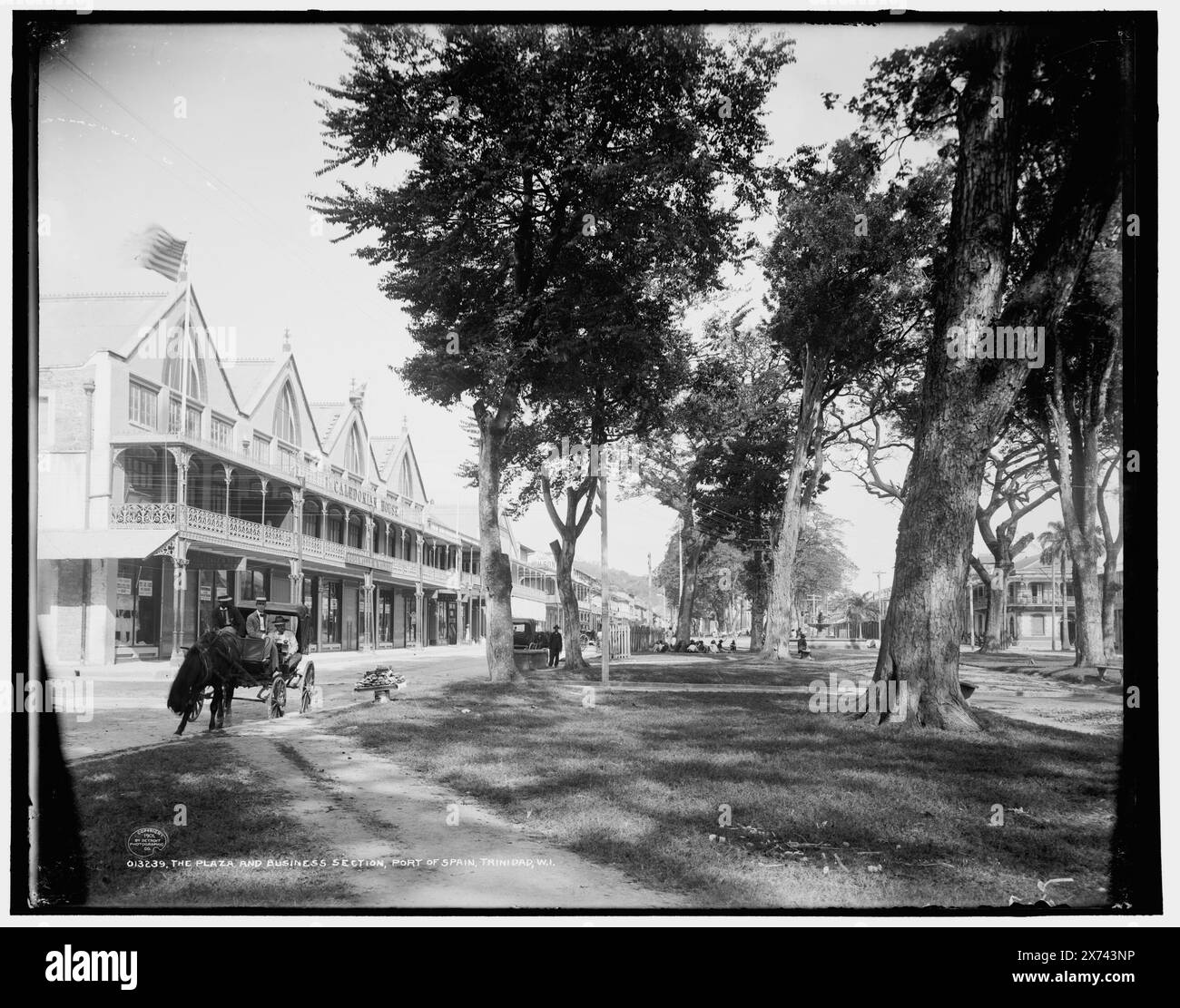 Plaza and business section, Port of Spain, Trinidad, W.I., 'Caledonian House' on building at left., Detroit Publishing Co. no. 013239., Gift; State Historical Society of Colorado; 1949,  Plazas. , Hotels. , Carriages & coaches. , Trinidad and Tobago, Port of Spain. Stock Photo