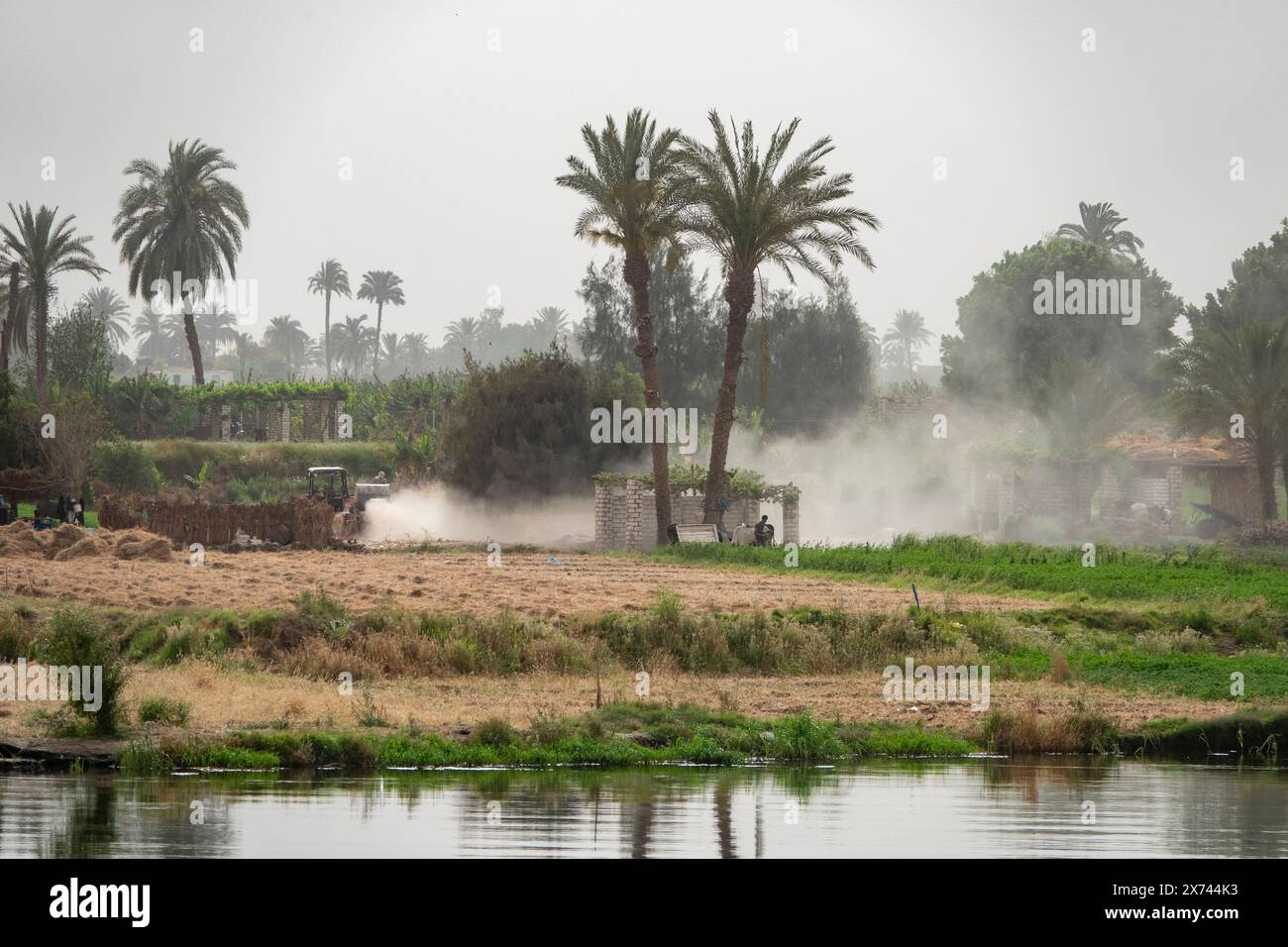 Section of Nile river bank, Egypt Stock Photo