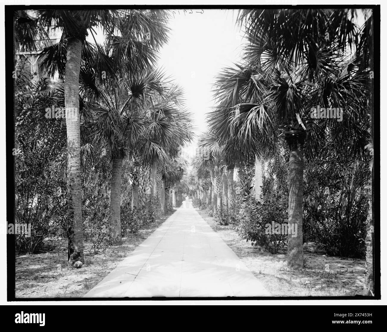 Breakers hotel palm beach Cut Out Stock Images & Pictures Alamy