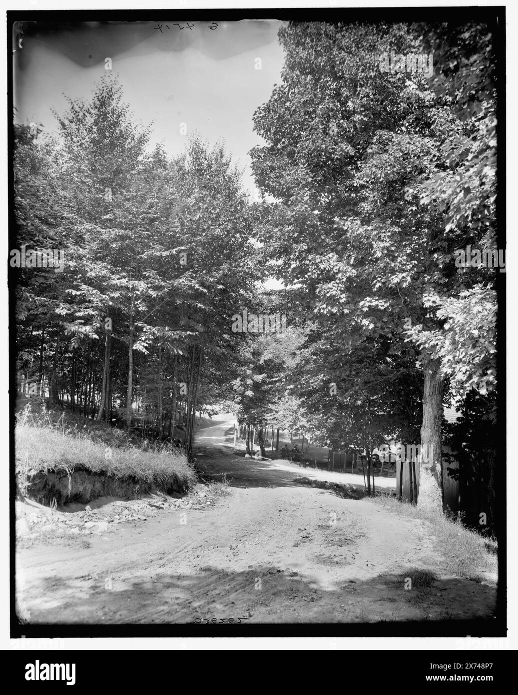 Lined roadway Cut Out Stock Images & Pictures - Alamy