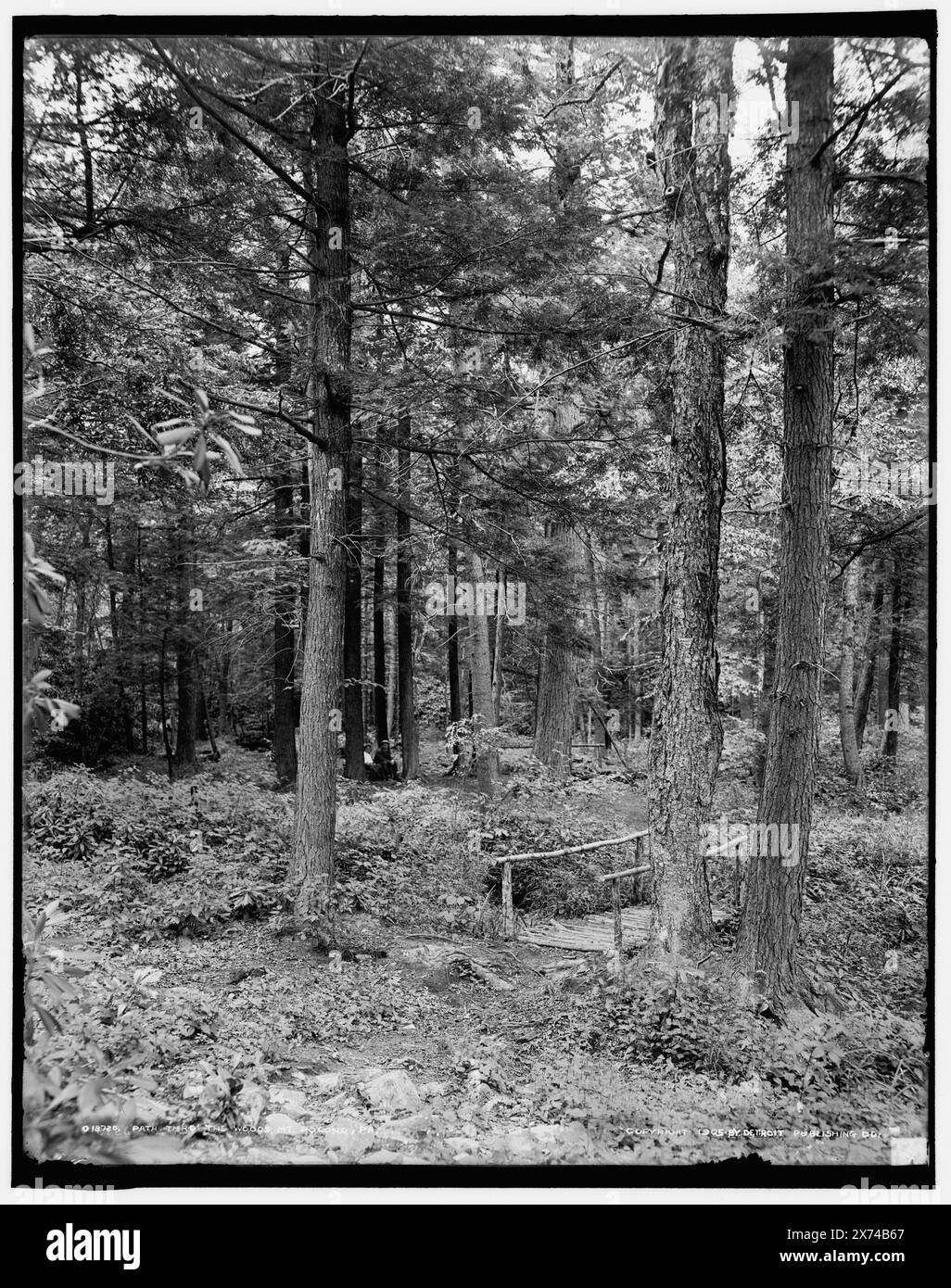 United States Pennsylvania Moun Hi res Stock Photography And Images Alamy united-states-pennsylvania-moun-hi-res-stock-photography-and-images-alamy