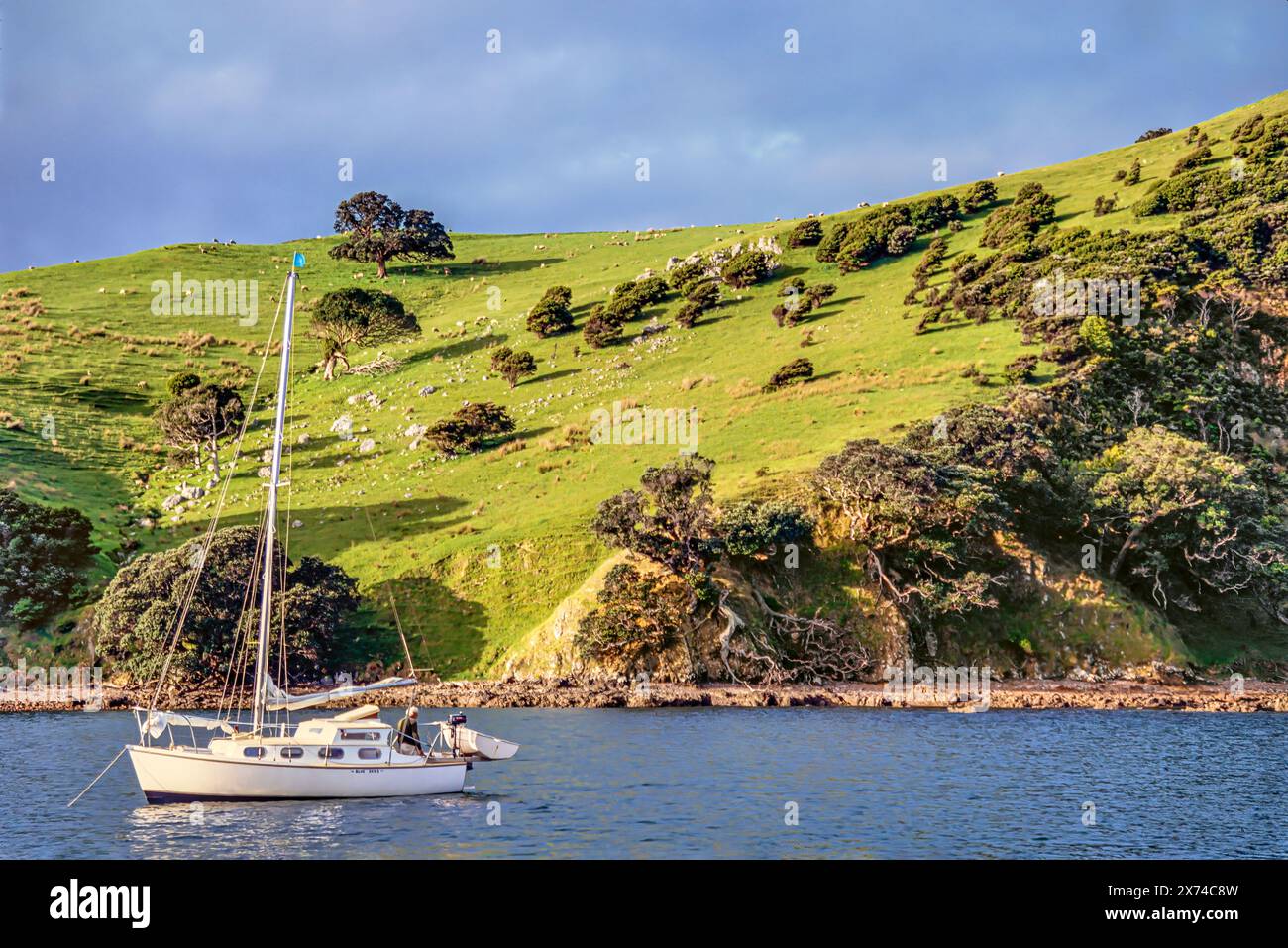 Sailboat anchored in the Bay of Islands on the North Island of New ...