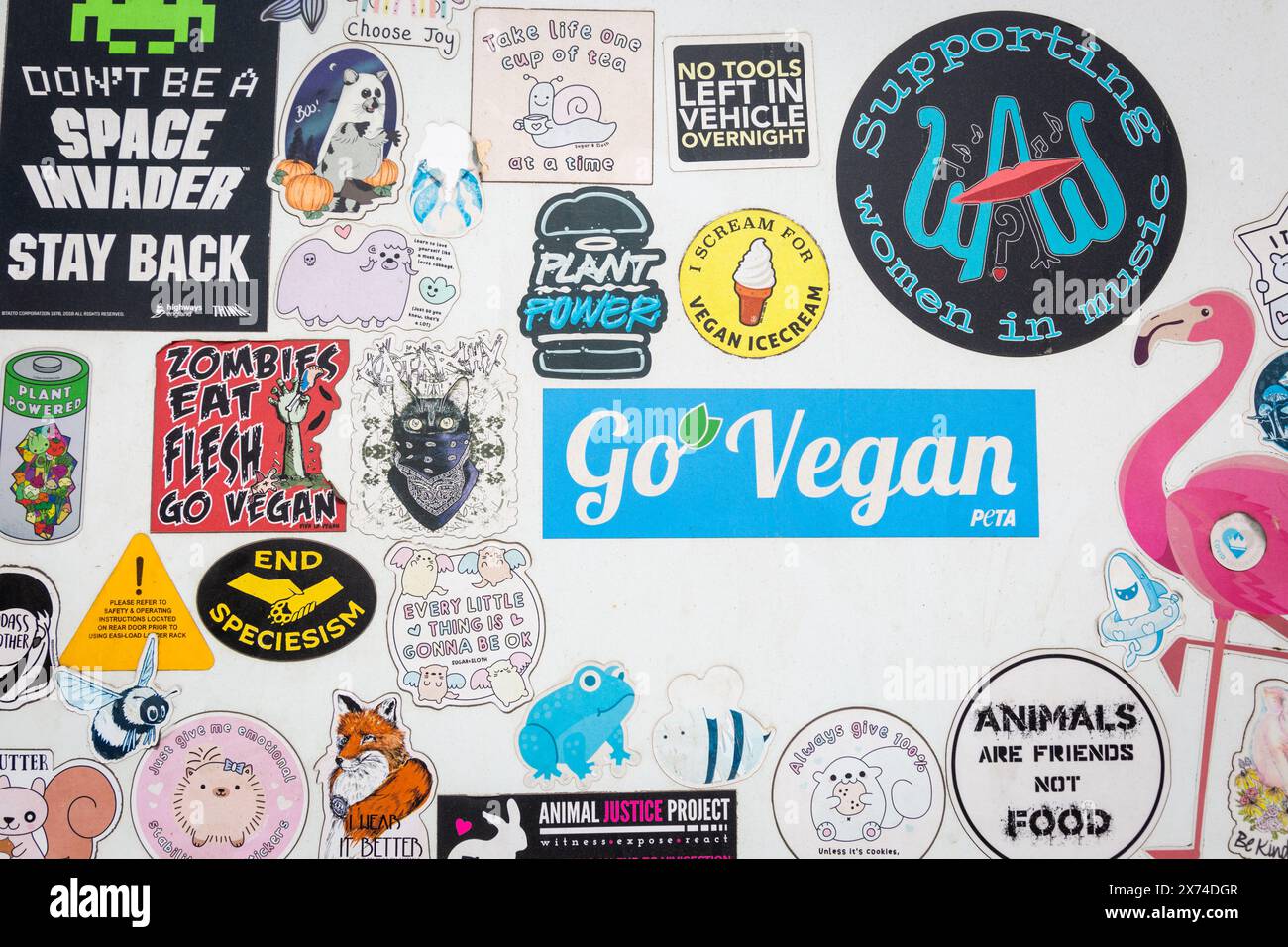 Travel stickers and slogans on the back of a van, UK Stock Photo