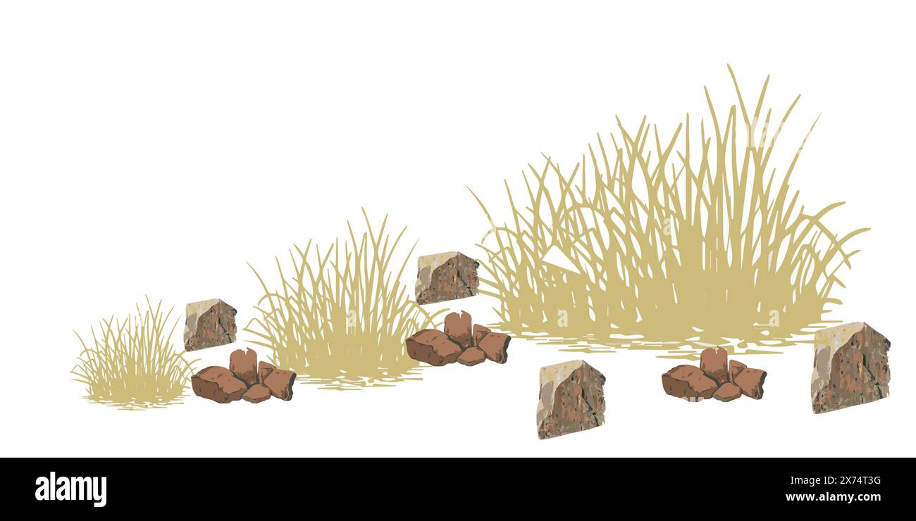 Isolated, Grass meadow shrubs with rocks. Backgrounds 3d rendering. Stock Vector