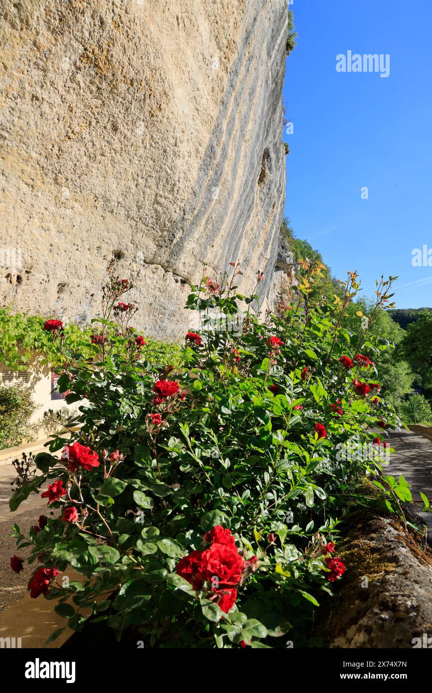 The prehistoric site of Laugerie-Basse, rock shelter in the commune of