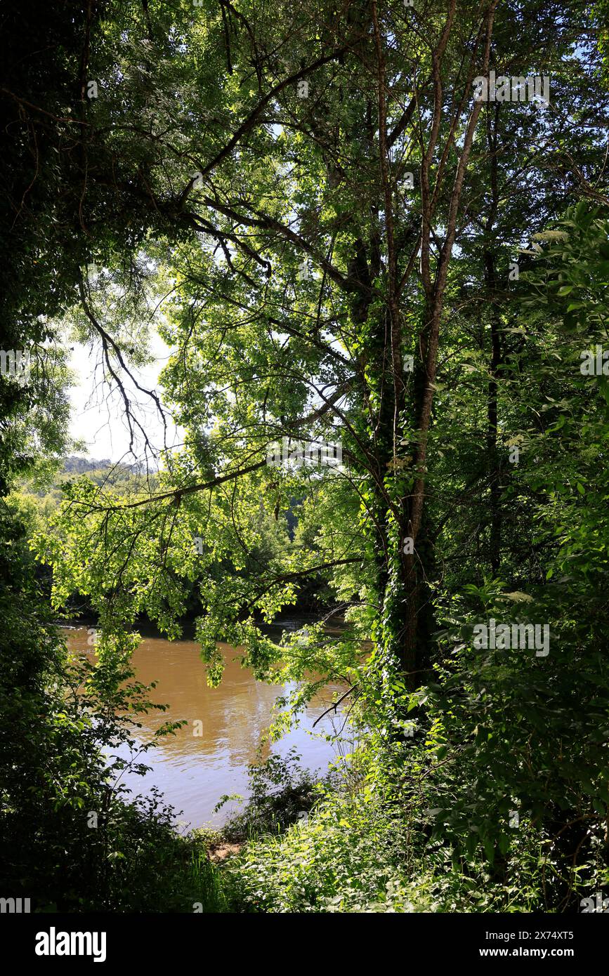 The prehistoric site of Laugerie-Basse, rock shelter in the commune of