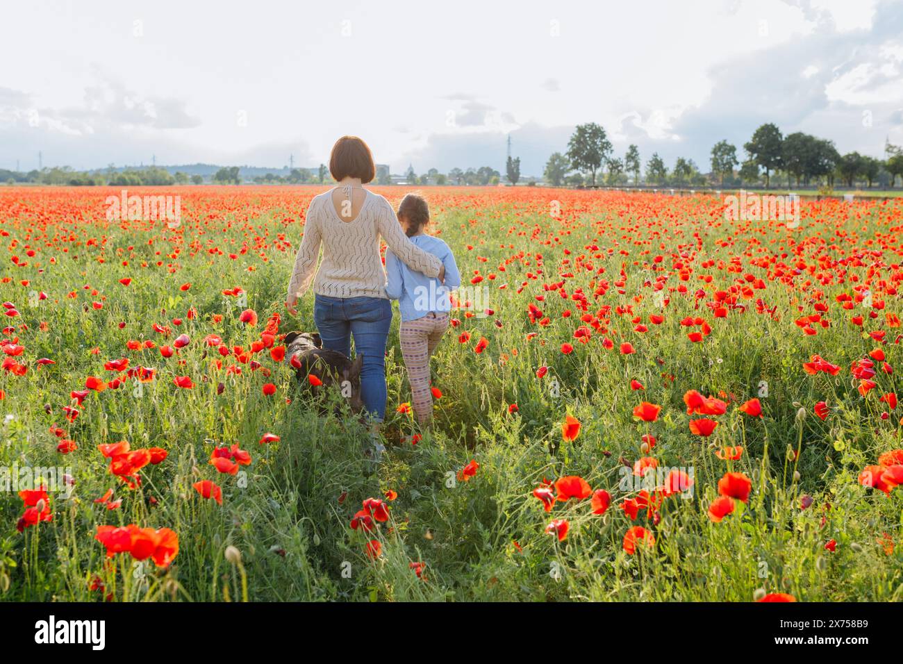 In Their Field rear view of mother and daughter walking away in the poppy field and ...