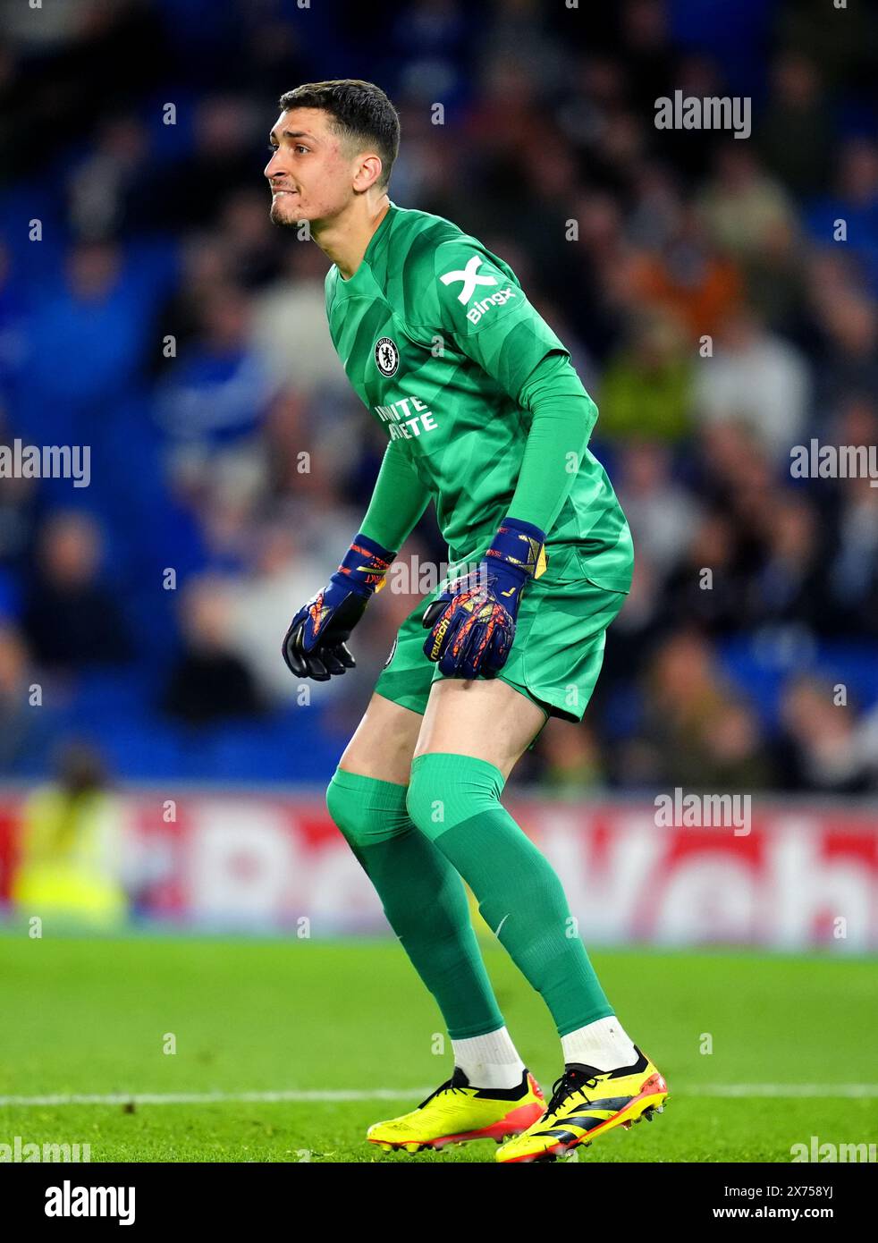 Chelsea goalkeeper Djordje Petrovic during the Premier League match at the Amex Stadium, Brighton and Hove. Picture date: Wednesday May 15, 2024. Stock Photo