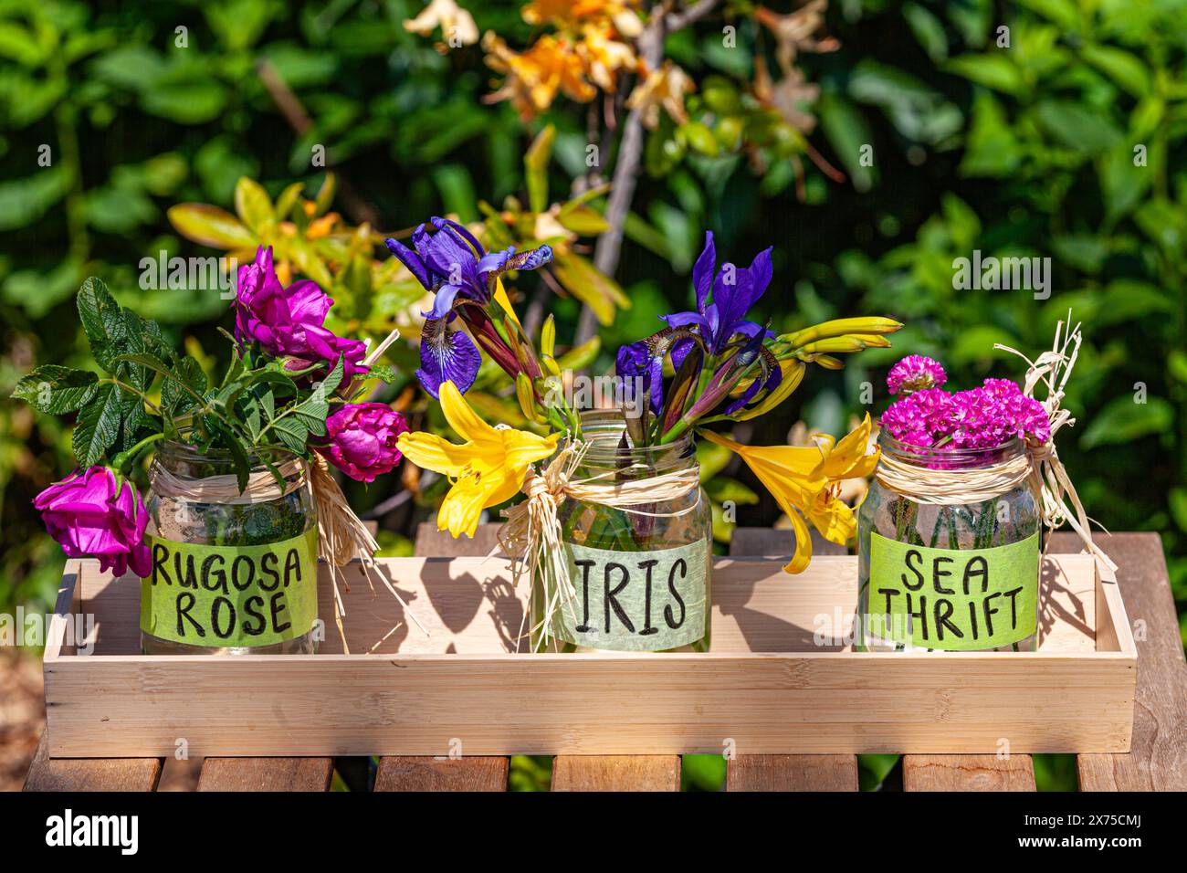 Jam jars with flower samples at the Murakami House in Steveston British Columbia Canada Stock Photo