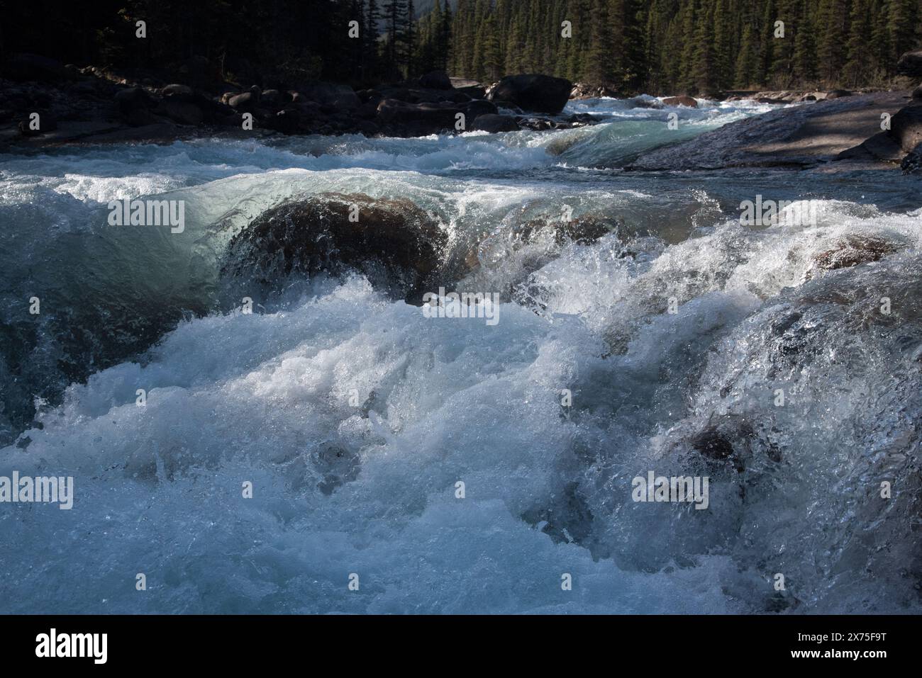 Mistaya river at the head of Mistaya canyon just aside Icefield's Parkway in Banff National Park in Alberta in Canada's Rocky Mountains. Stock Photo