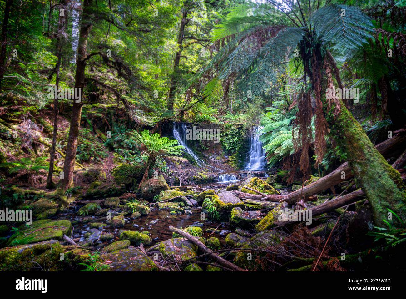 Horseshoe Falls, Mount Field National Park, Tasmania Stock Photo Alamy