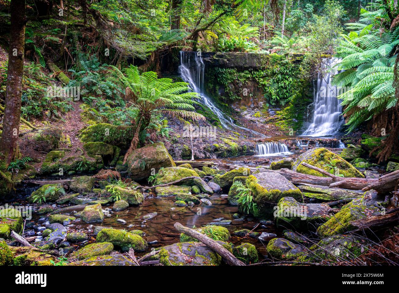 Horseshoe Falls, Mount Field National Park, Tasmania Stock Photo Alamy