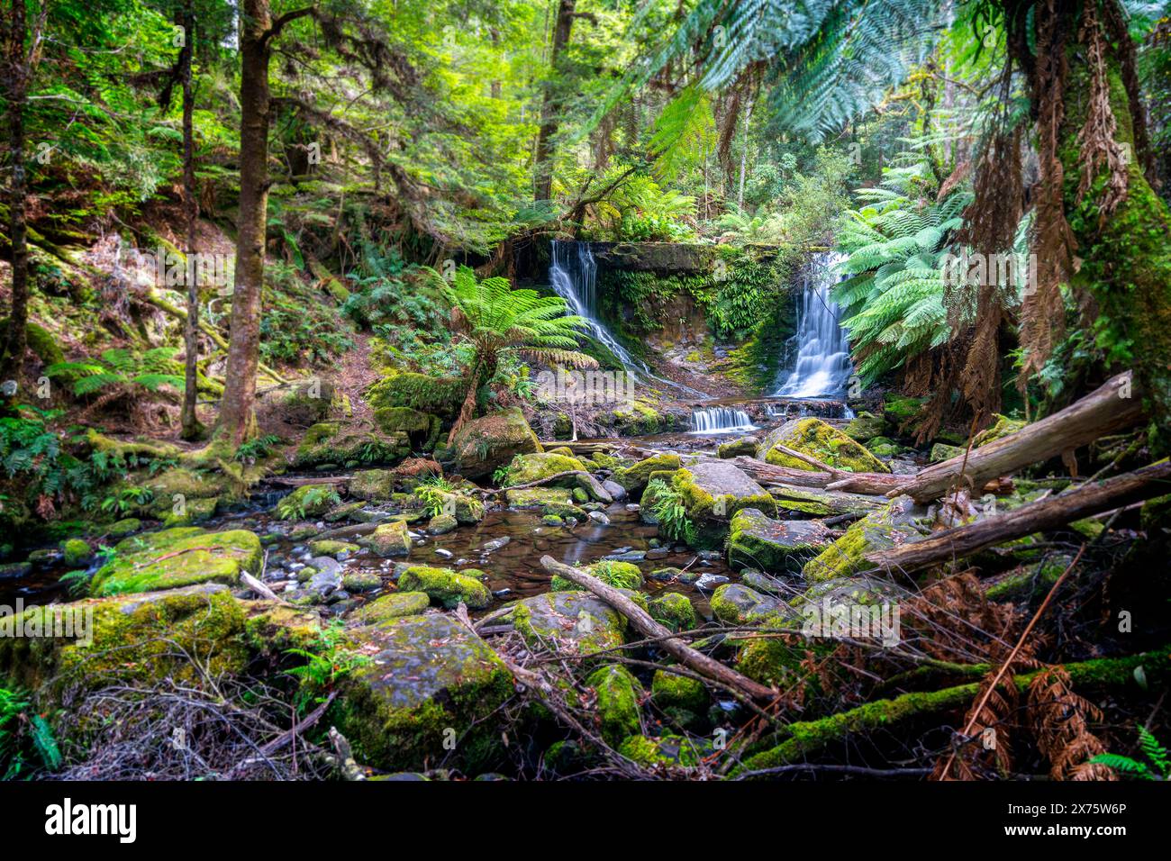 Horseshoe Falls, Mount Field National Park, Tasmania Stock Photo Alamy