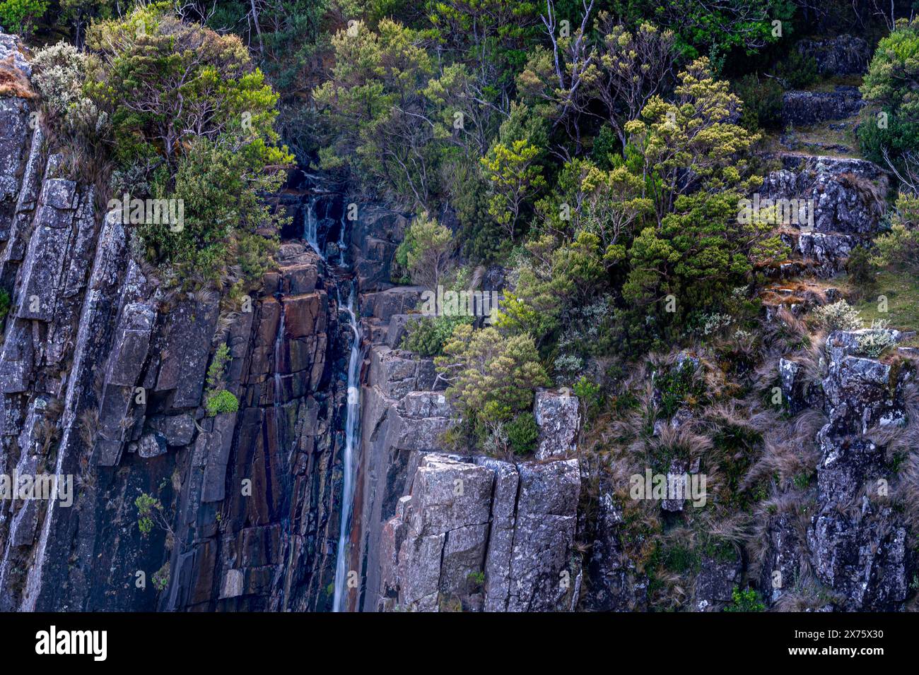 Ralphs Falls, the highest single-drop waterfall in Tasmania, Mount Victoria Forest Reserve, Tasmania Stock Photo