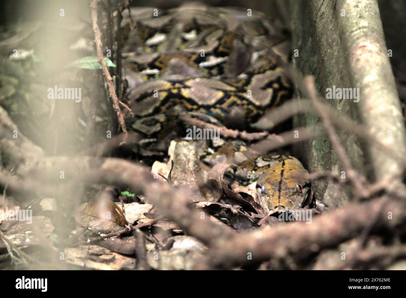 World climate change forum hi-res stock photography and images - Alamy