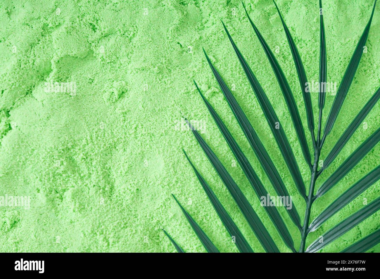 Monochromatic surreal summer composition made with green tropical palm tree leaf on green beach sand background.  Minimal concept. Stock Photo