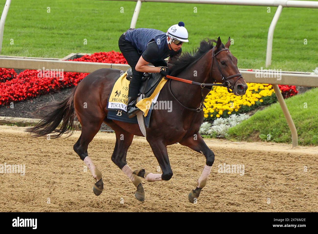 May 17, 2024 Pimlico Racetrack, Baltimore, Baltimore City, Maryland