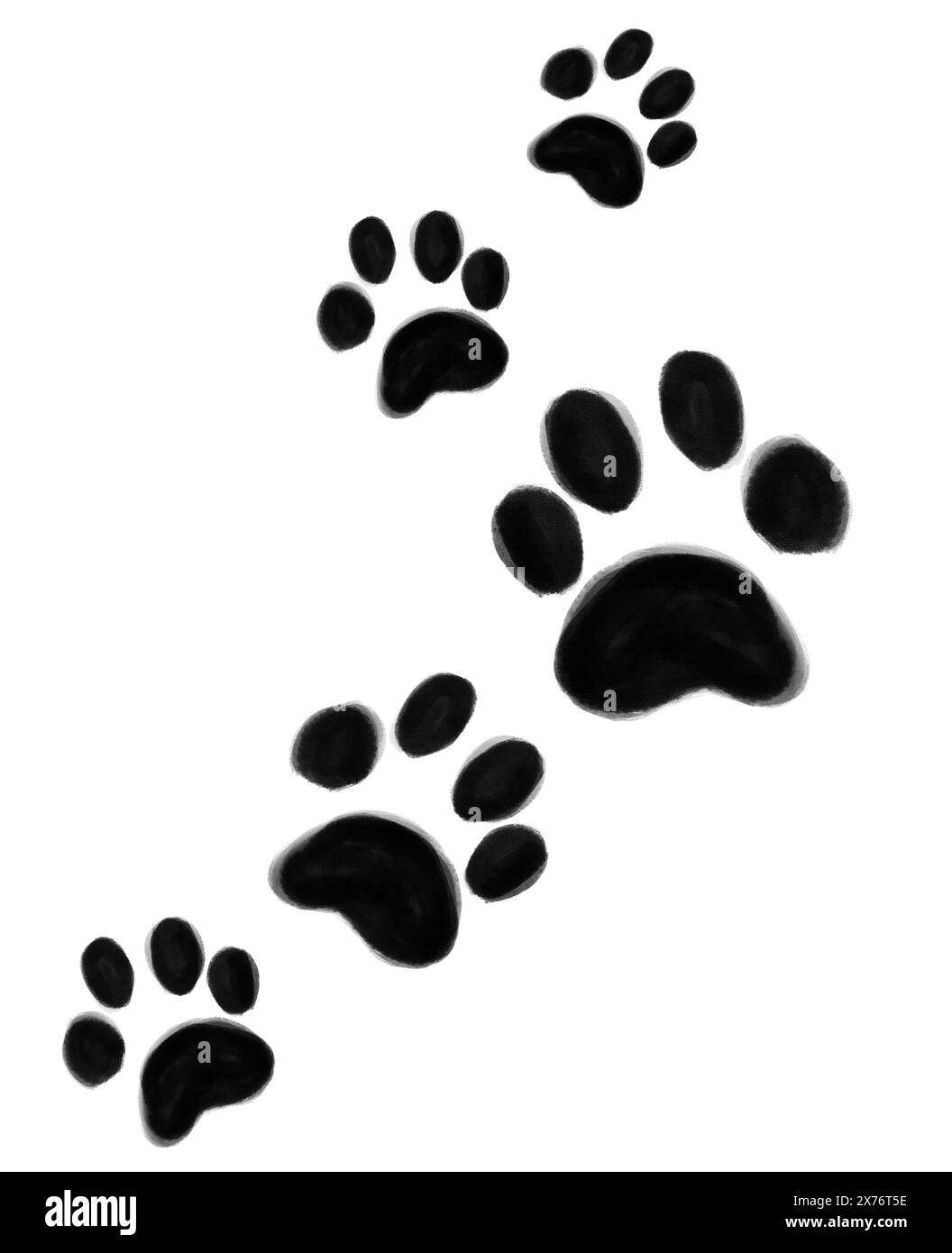 dog-paw-prints-on-white-background-illustration-stock-photo-alamy