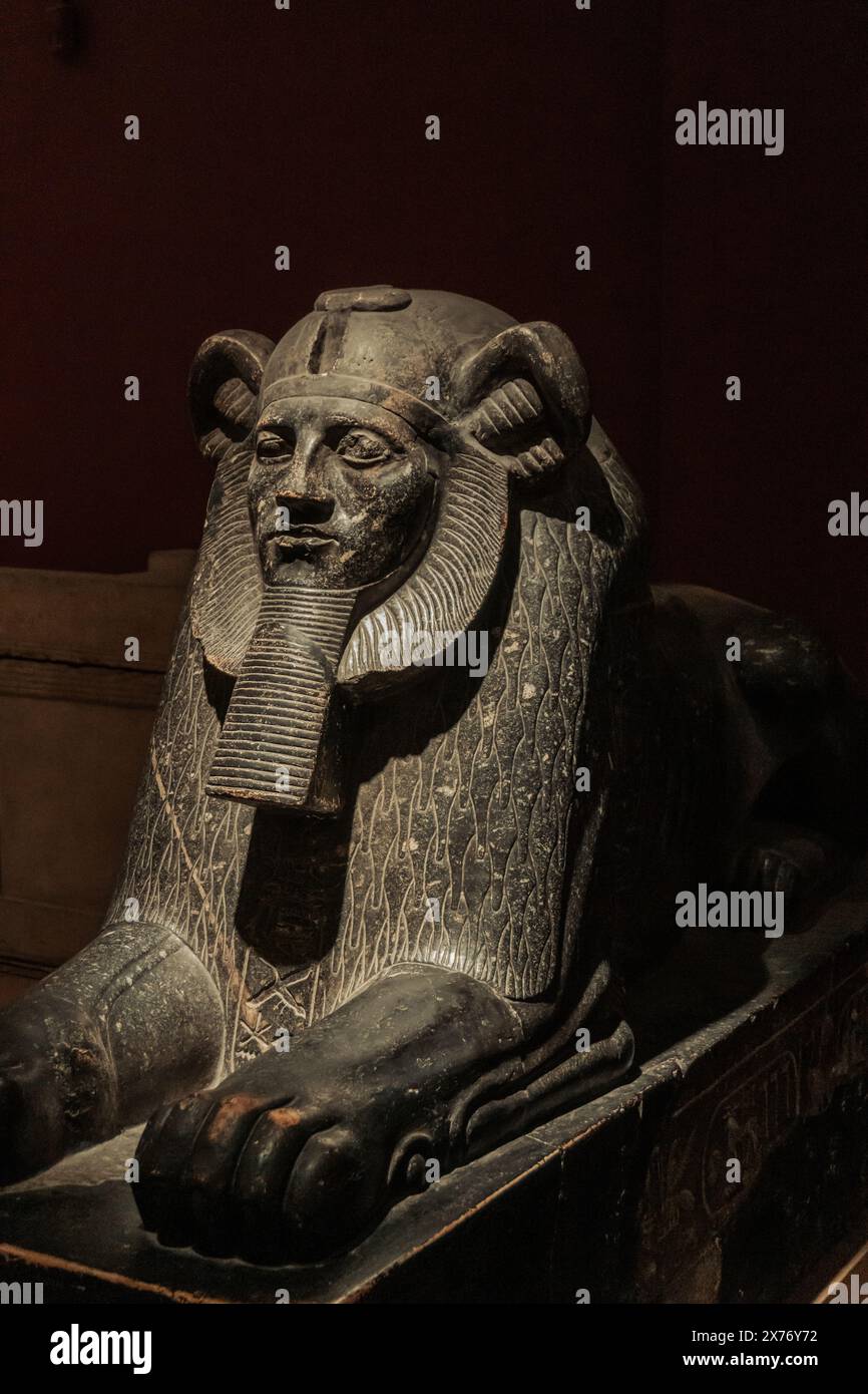 Statue of Sphinx of Amenemhat III in cairo egyptian museum Stock Photo ...