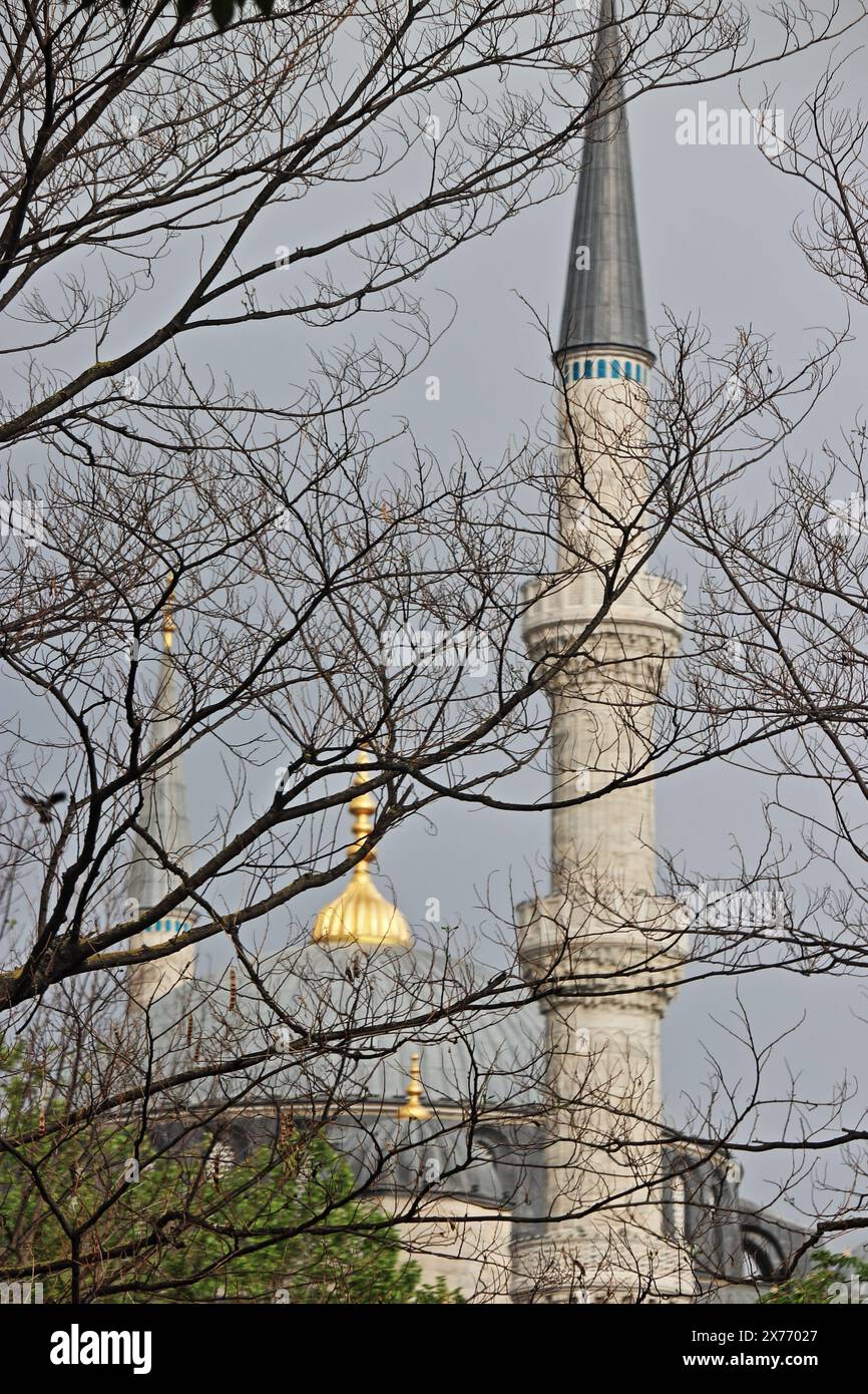 The Blue Mosque (Sultanahmet Mosque) in Istanbul, Turkey Stock Photo ...