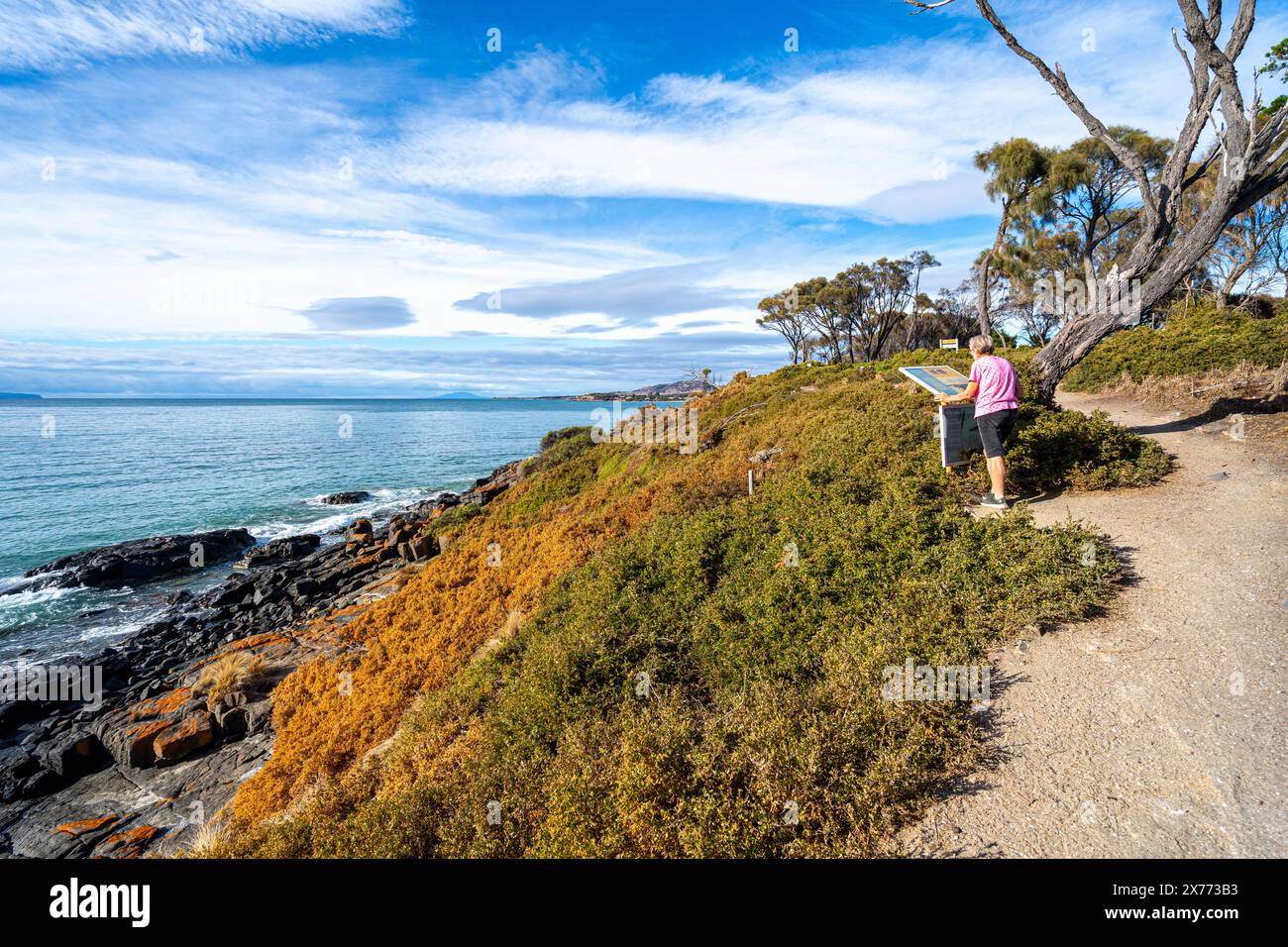 Women reading information sign on rocky headland at Swansea Beach, Swansea, Tasmania Stock Photo