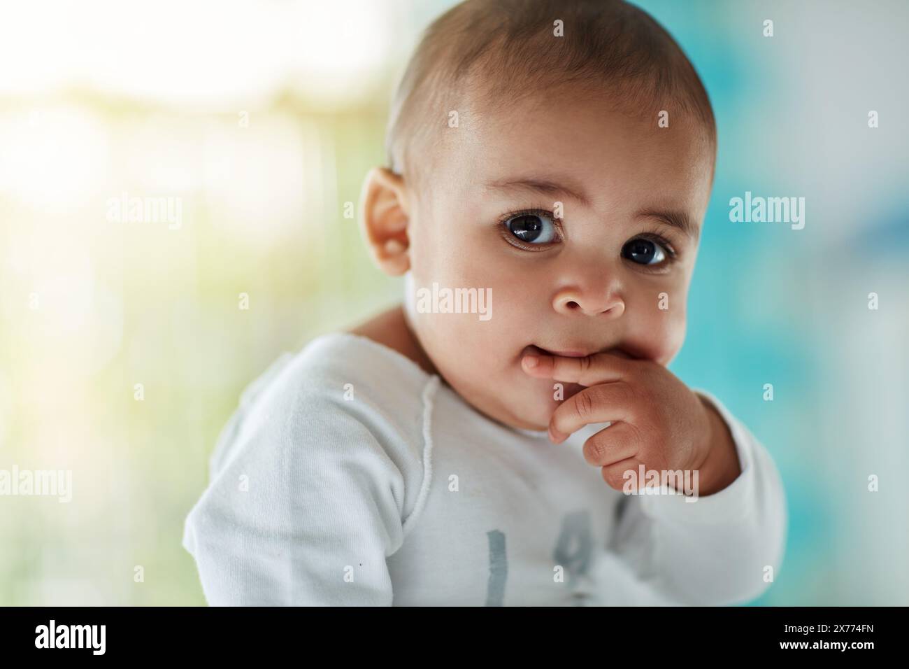 Teething, baby and face of infant in home with development of health and growth with wellness. Calm, child and kid in house with hand in mouth and Stock Photo