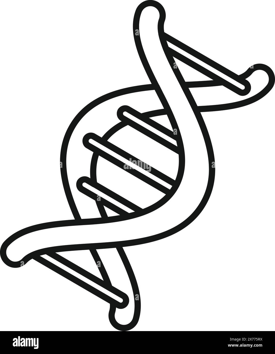 Detailed black and white vector illustration of a double helix dna strand, depicting the molecular structure and genetic makeup, suitable for biology, genetics, and medical research concepts Stock Vector
