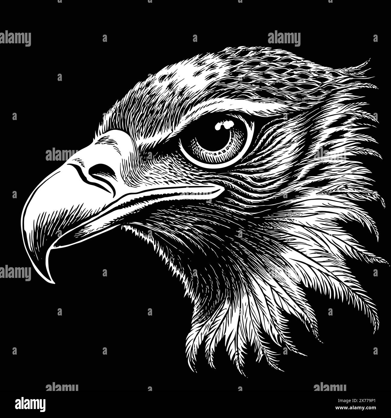 An eagle head illustration in black and white. Stock Vector
