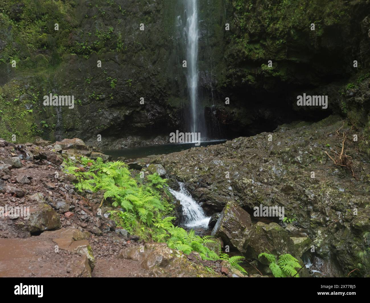 100-m-high-waterfall-in-thick-fog-at-the-end-of-levada-caldeirao-verde