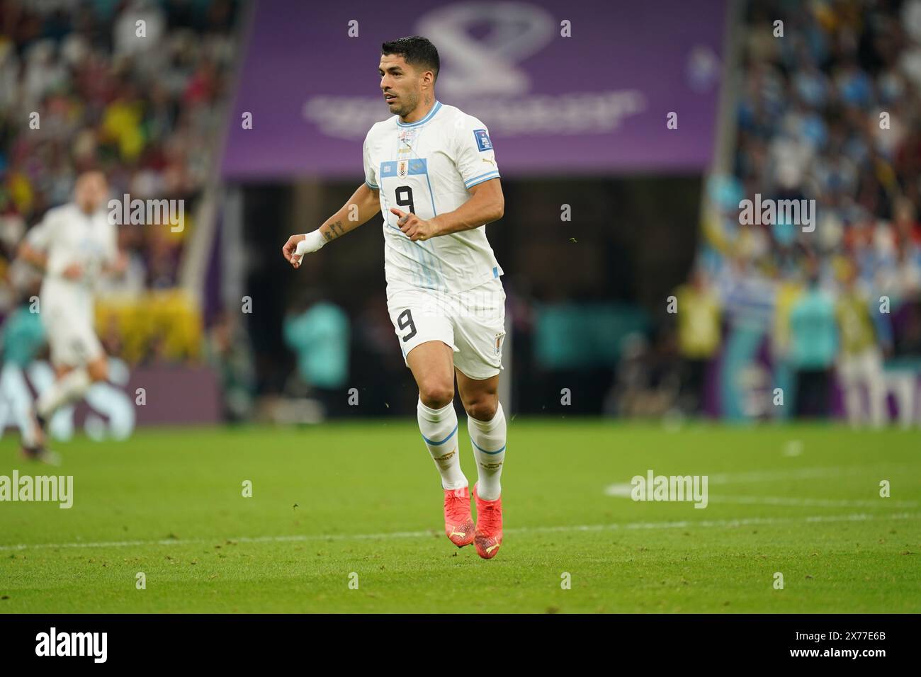Lusail, Qatar. 28th November 2022. Luis Suarez in action during the match between Portugal vs. Uruguay, Group H, Fifa World Cup Qatar 2022. Stock Photo