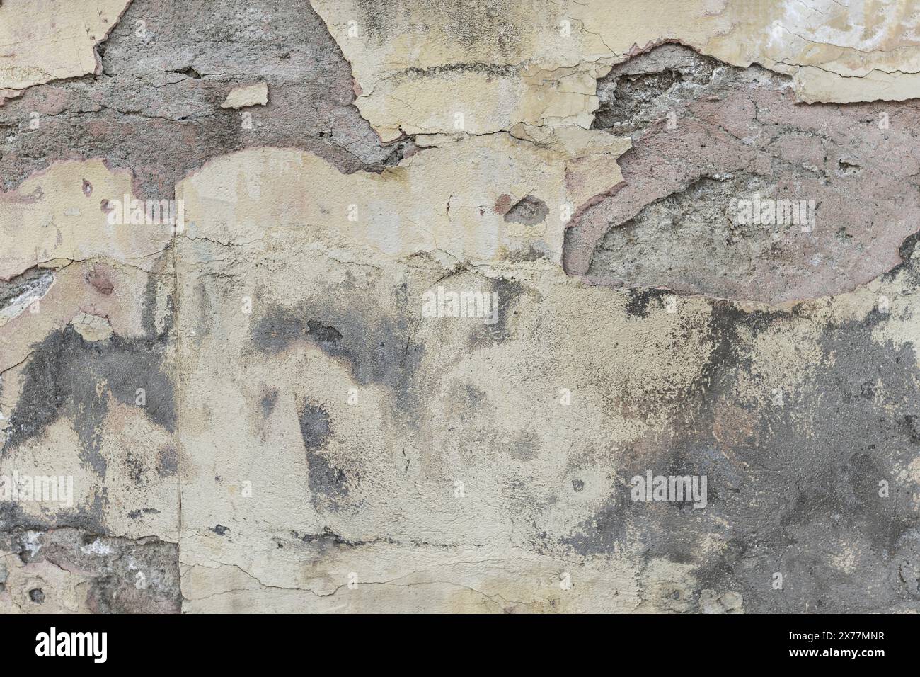 Black frame on wall vector hires stock photography and images Alamy