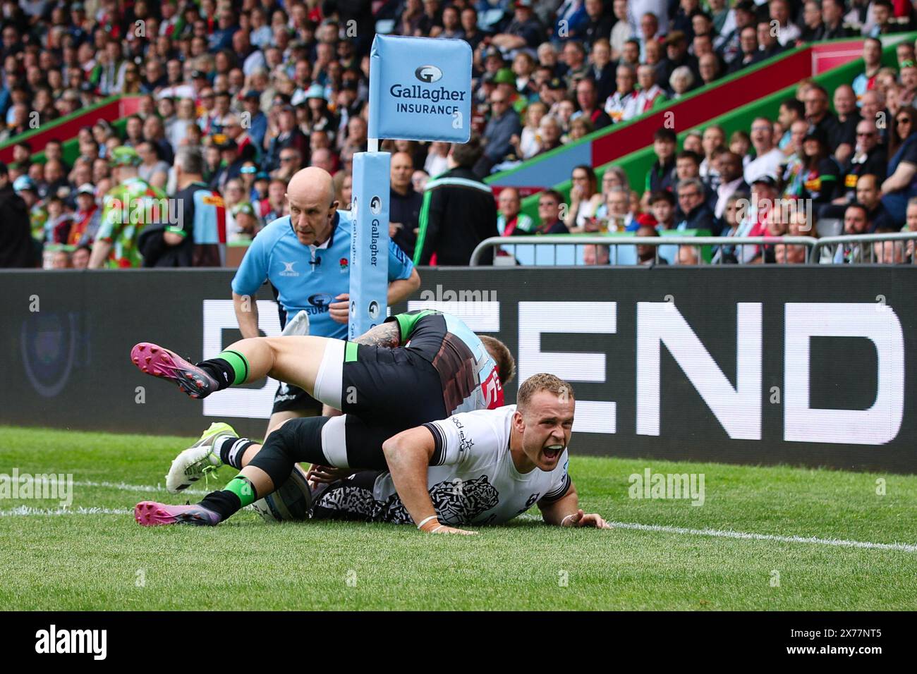 LONDON, UK - 18th May 2024:  James Williams of Bristol Bears celebrates scoring his sides first try during the Premiership rugby match between Harlequins and Bristol Bears at Twickenham Stoop  (Credit: Craig Mercer/ Alamy Live News) Stock Photo
