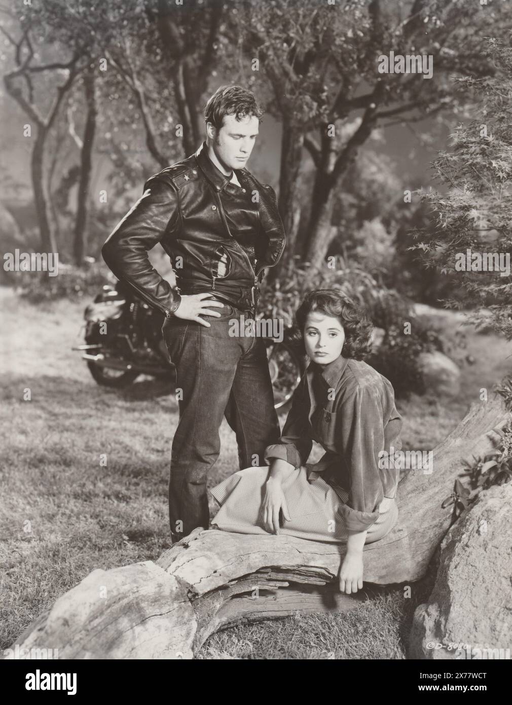 The Wild One (Columbia, 1953). Marlon Brando Stock Photo