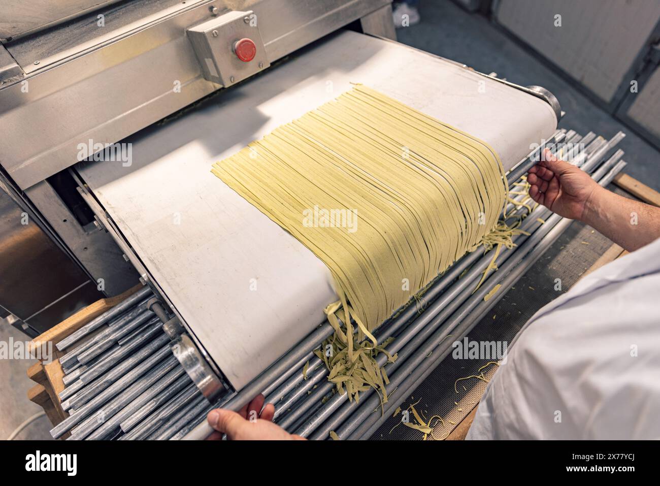 Fresh pasta production at a factory. Industrial pasta machine Stock Photo