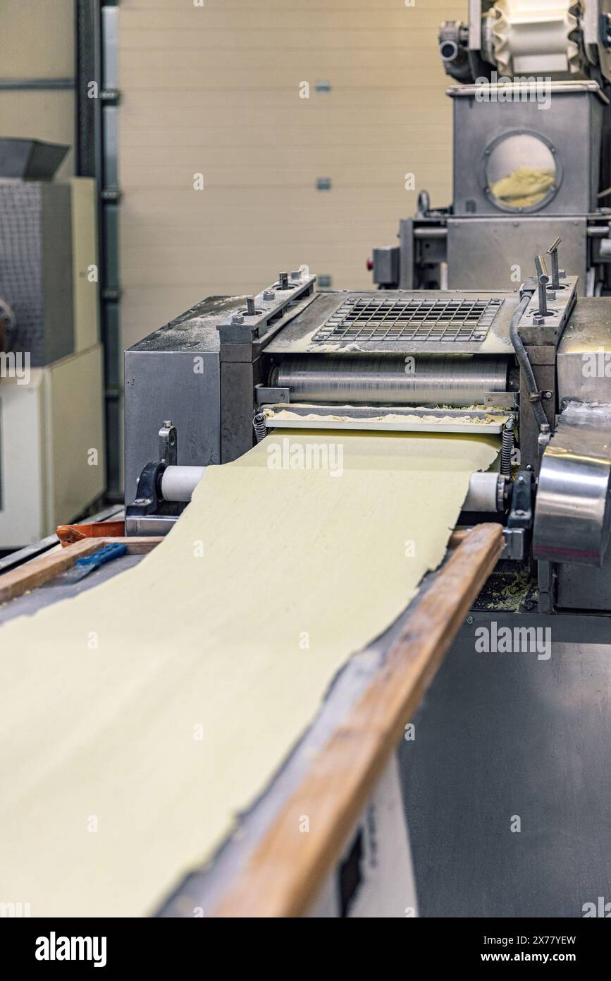 Industrial pasta production line at work, pasta factory Stock Photo
