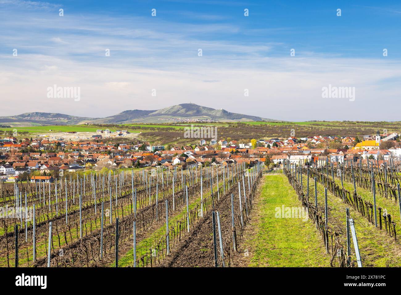 View of the picturesque wine region near Velke Pavlovice with mountains of The Palava landscape area in South Moravia, Czech Republic, Europe. Stock Photo