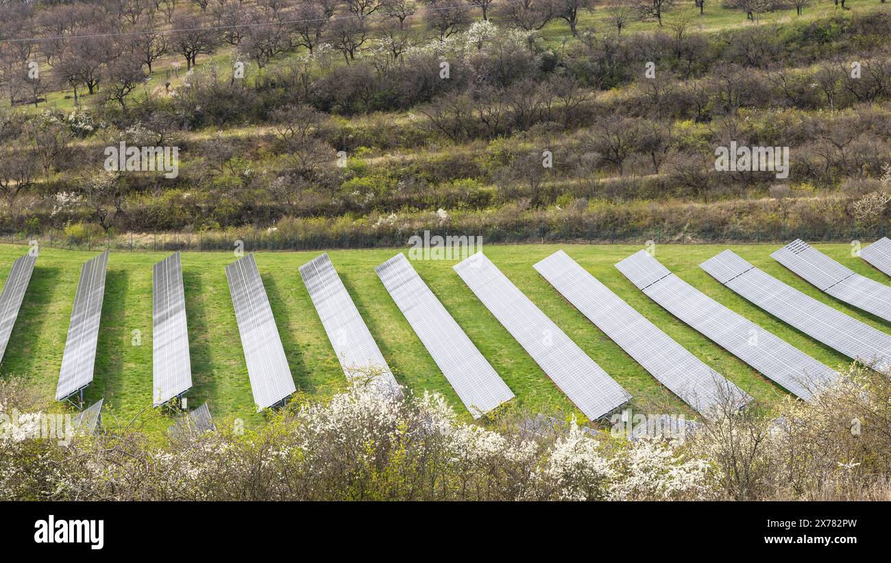 Solar array of photovoltaic panels in the field Stock Photo - Alamy