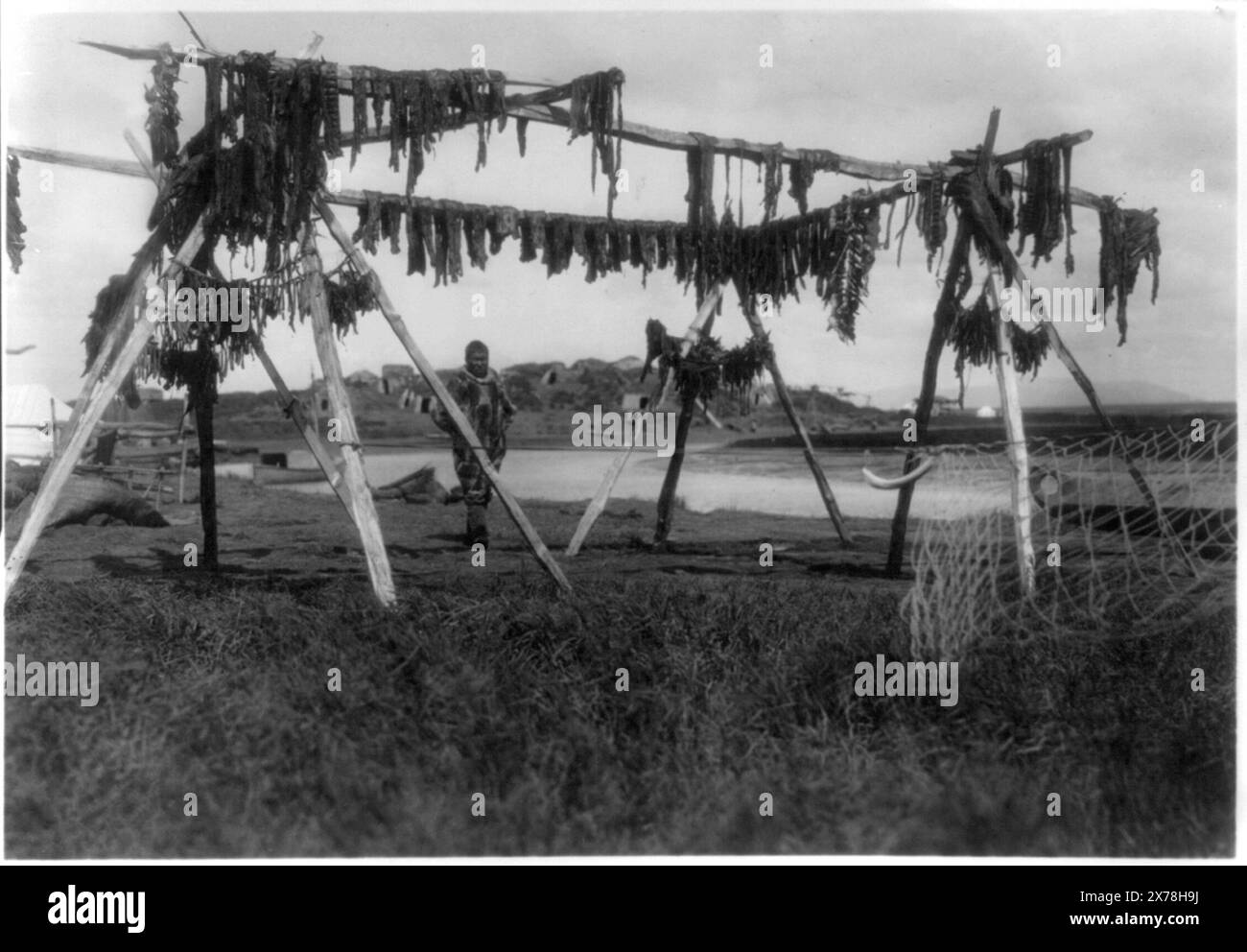 Eskimos in Alaska: Drying whale meat, Hooper Bay, This record contains ...