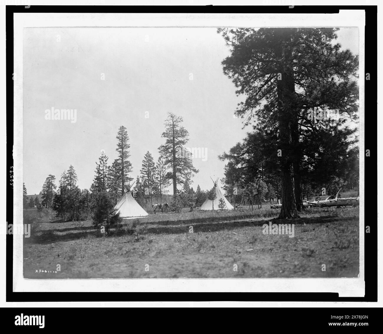 A mountain camp Yakima, Title from item., Curtis no. 3061-10., Forms part of: Edward S. Curtis Collection ., Published in: The North American Indian / Edward S. Curtis. [Seattle, Wash.] : Edward S. Curtis, 1907-30, Suppl. v. 7, pl. 224.. Indians of North America, 1910. , Yakama Indians, 1910. , Tipis, 1910. Stock Photo