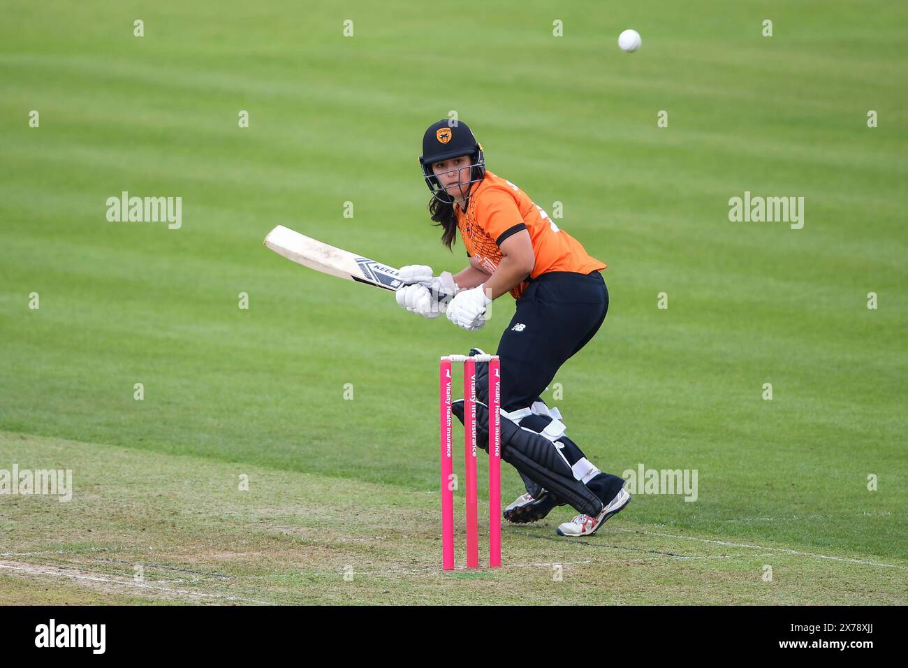 Charlotte ramp hi-res stock photography and images - Alamy