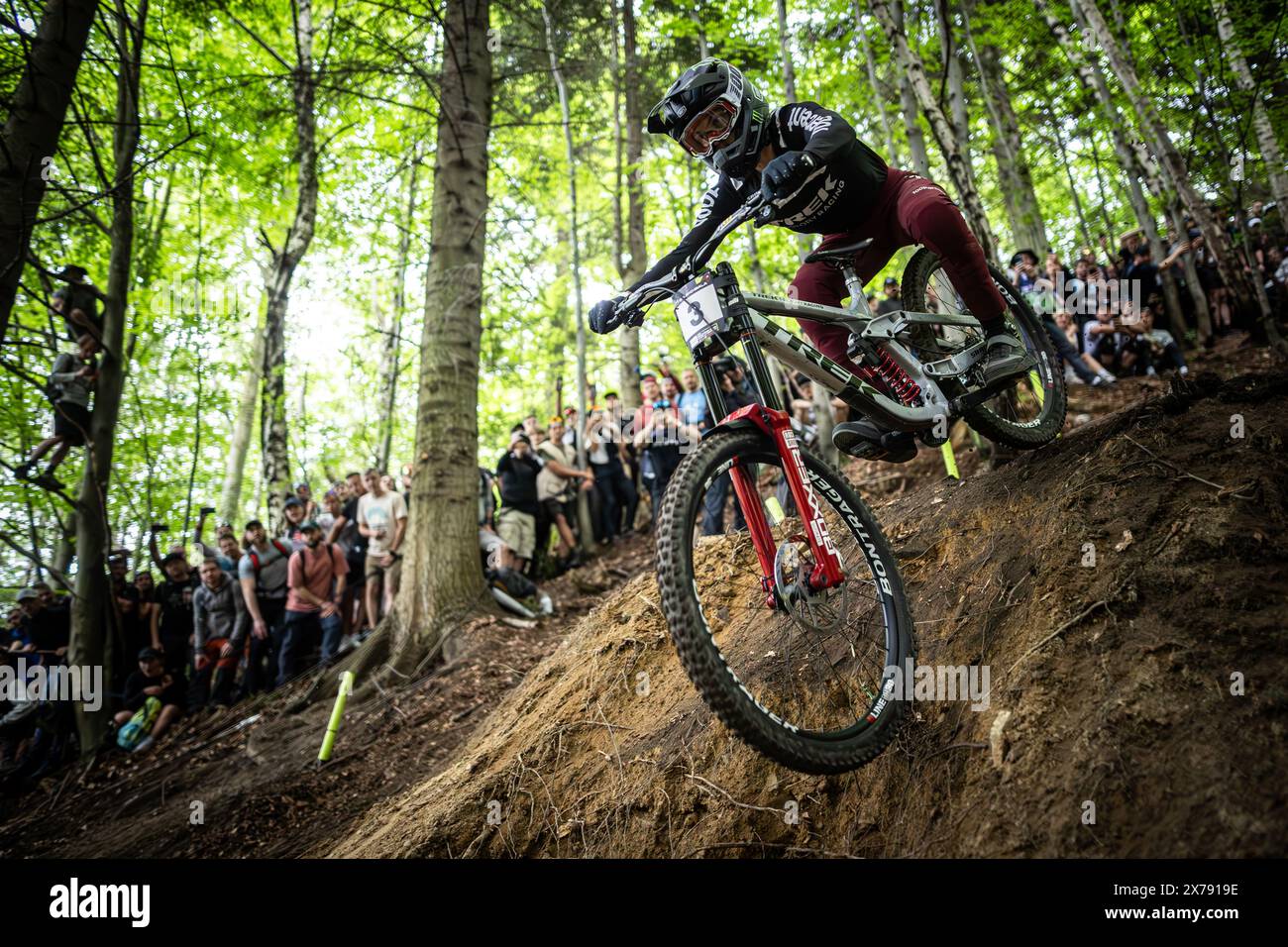 French cup 2024 hi-res stock photography and images - Alamy