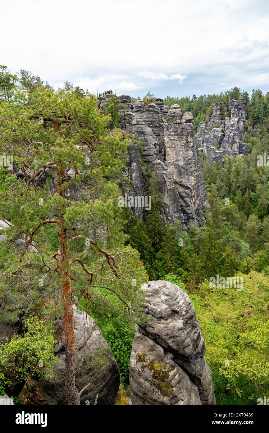 A mountain range with a tree in the foreground. The tree is surrounded by rocks and the mountains are covered in trees. The scene is peaceful and sere Stock Photo