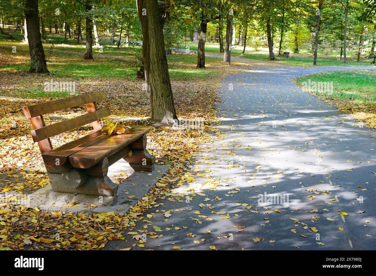 Wooden bench in the autumn park Stock Photo - Alamy