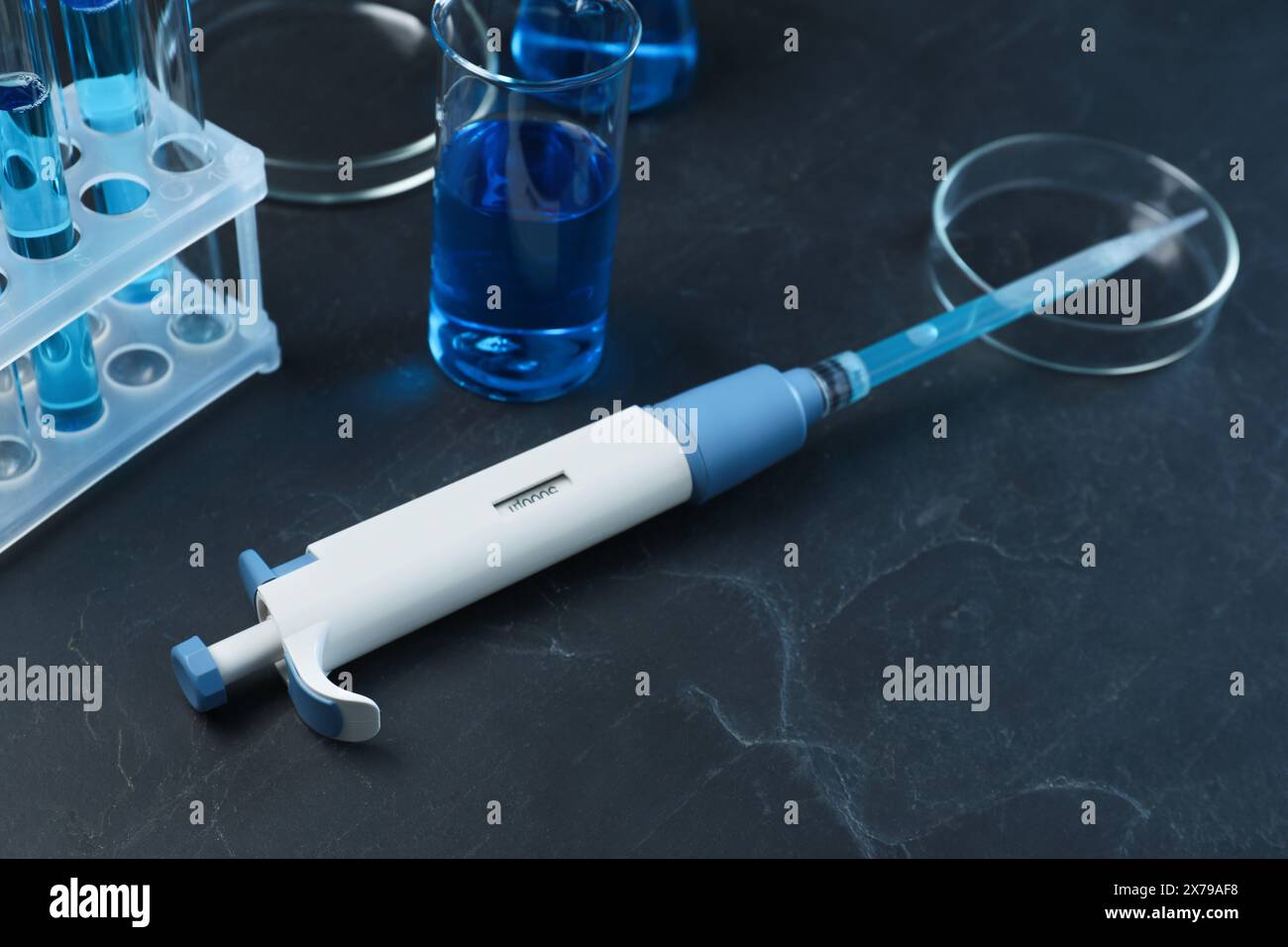 Laboratory analysis. Micropipette, petri dish, beaker and test tubes on black table Stock Photo